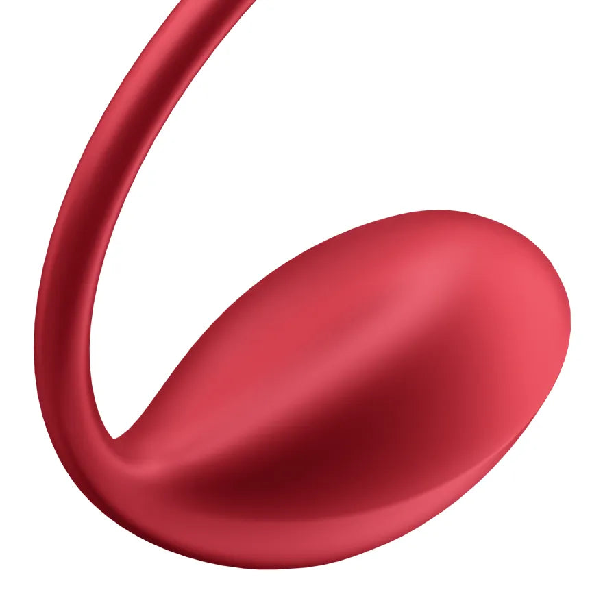 Satisfyer Shiny Petal Connect App