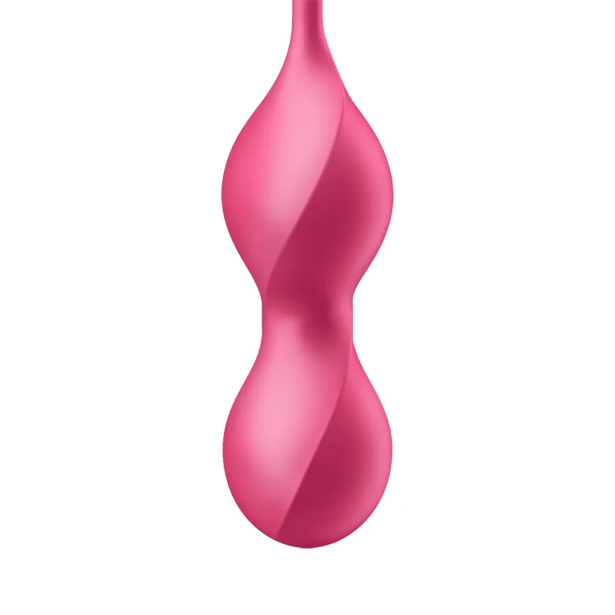 Satisfyer Love Birds 2 Connect App